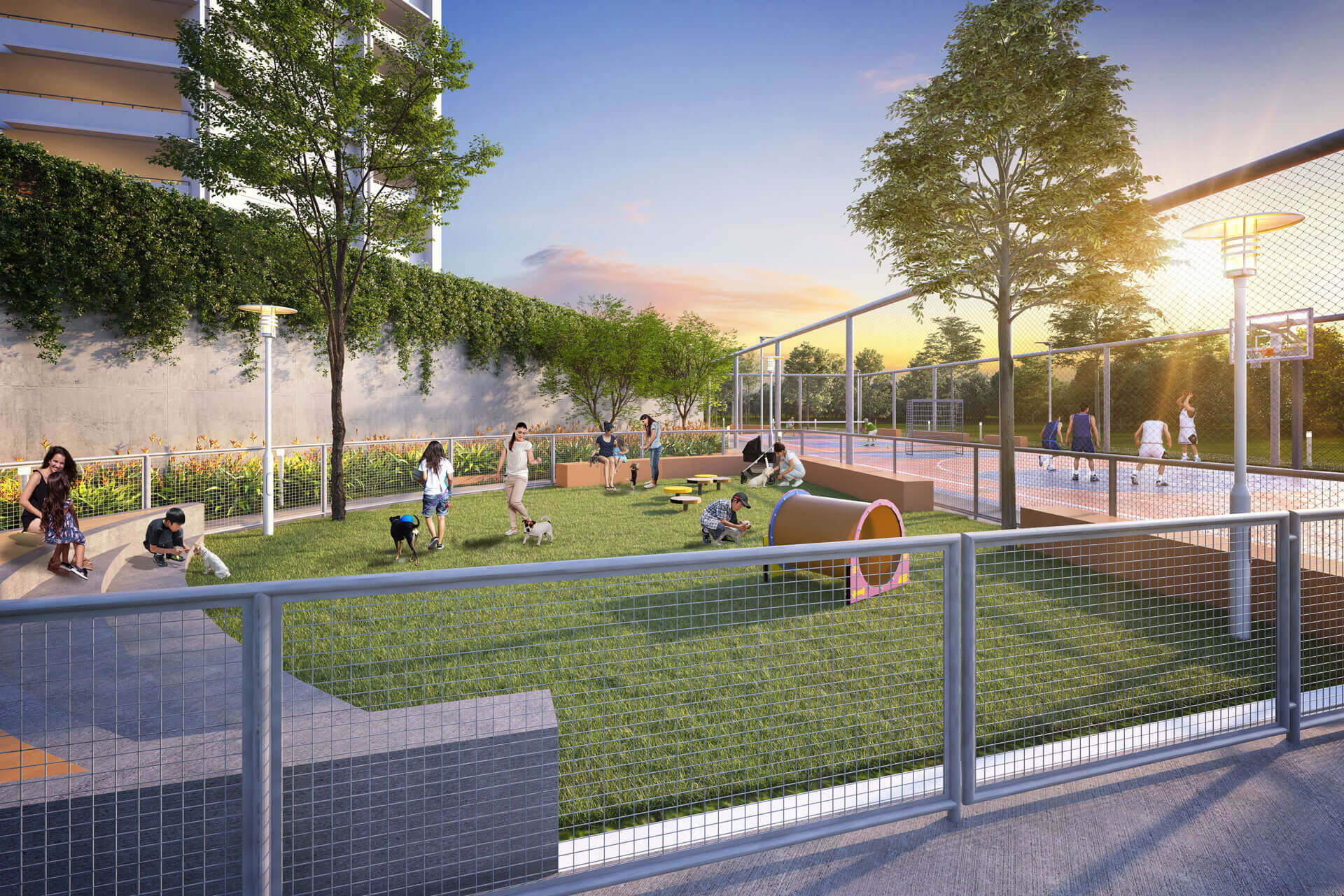 Pet Friendly Dog Park